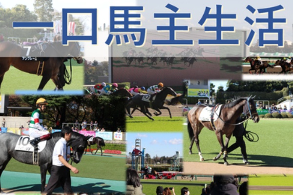 徒然競馬日記 一口馬主生活