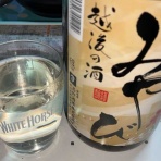 気分吟醸の河は流れて