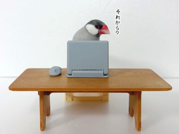 本日のネットスーパー
