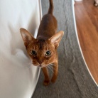 早起きして、元気に歩くりすたん