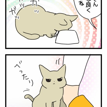 わかりやすくてわかりにくい訴えかた