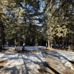 帝塚山学院大学リベラルアーツ学科グローバル英語専攻　英語圏留学プログラム