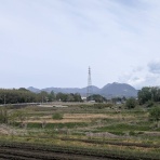 Ancient Botanical Garden
