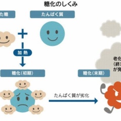 老化の原因「糖化（AGE）」を防ごう！GI値の低い食事、軽い運動