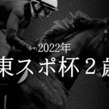 『【掟破りの金になる話】東スポ杯２歳Ｓ(G2)』の画像