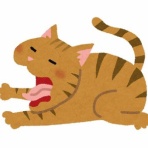 衝撃体験！アンビリバボー｜浮気・修羅場・スカッとまとめ