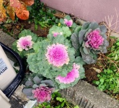 2025年の営業終了したわよー