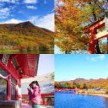 『群馬県 前橋市の看護師、常勤・派遣・非常勤・パート・委託求人』の画像