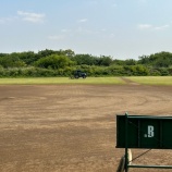 『「黄金週間」は新緑の河川敷グラウンドへ』の画像