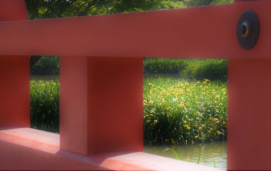 『初夏の称名寺　８　欄干から』の画像