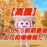 『【高騰】これが6.5前期最後のお花相場情報だ！』の画像