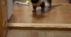 ここらで一息。