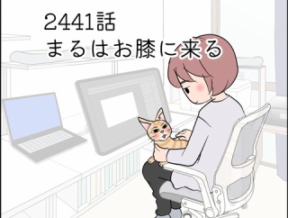 あんこ＆麦2441 まるはお膝に来る