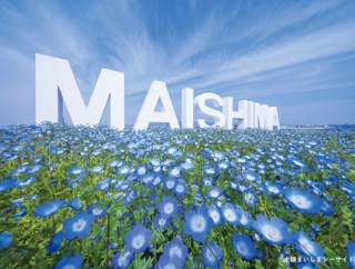 【宝塚市 バスツアー】宝塚駅発着！大阪ネモフィラ・香住がに・宇治あじさい、３つのツアーをご案内！