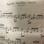 季節を巡るクラシックギターのブログ