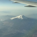 ⭐️2/17、19、20体験きてね⭐️新体連全国大会（埼玉）！