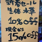 フィッシュジャパンの総合blog