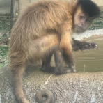 動物園の一日