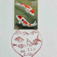 錦鯉の切手と錦鯉の風景印です　上ノ山郵便局、城川郵便局