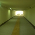 【画像】地下道にカエル捜しにきた( ･ ･ )