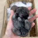 大物になりそう