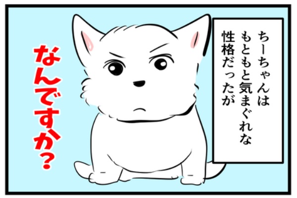 ちーちゃんっ🐾 - ちーちゃんですけどもっ