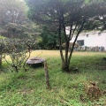 3週間ぶりの更新