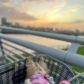 春風の吹く夕暮れ。