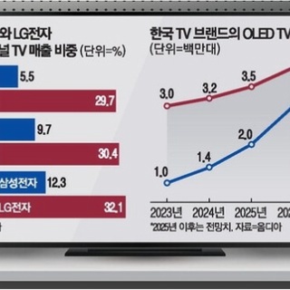 Flat Panel TV and Display World-2....液晶/有機EL・業界・動向