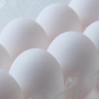 【ヤバイ】専門家「昨シーズン並に鳥インフルエンザが全国的に流行した場合、今シーズンは380円まで値上げする可能性がある」