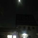 『本日15日(日)グラウンドは使用できる状態です。』の画像