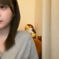【動画】20260904 SHOWROOM 「HKT48 市村愛里」＠AKB48グループメンバー 個人配信