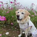 秋を楽しむ第1弾(10月編)