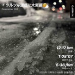 ぱっぽとにゃんの仲良しブログ♡♡♡