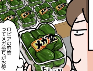 続、ロピアに行った話