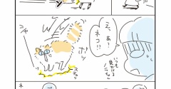 アベナオミの日常「今日のハイライト」