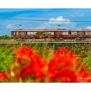 9月の鉄道情景