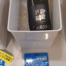 御前酒EXPO2026に参加