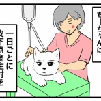 ちーちゃんっ🐾