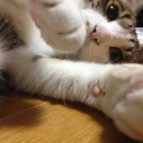 送り火の日。