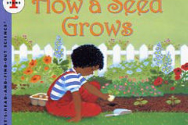 英語絵本クラブ 植物の生活環 The Life Cycle Of A Plant