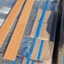 11月の釣果　その3