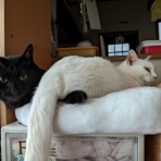 そぢん塾。