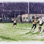 サソリのフットボール奮闘記