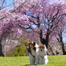 伊豆でのんびり⑥