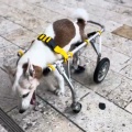 凪くん
