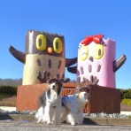 メロディ＆ミニーの写真館