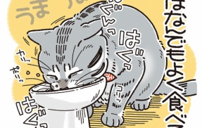 グルメパンデミック