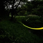 『投稿：横浜のホタル＆満月の出　2023/06/04』の画像