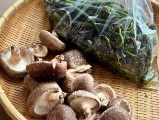 年度末と始まり